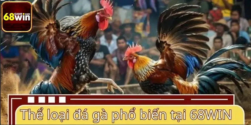 Các thể loại đá gà phổ biến tại 68WIN