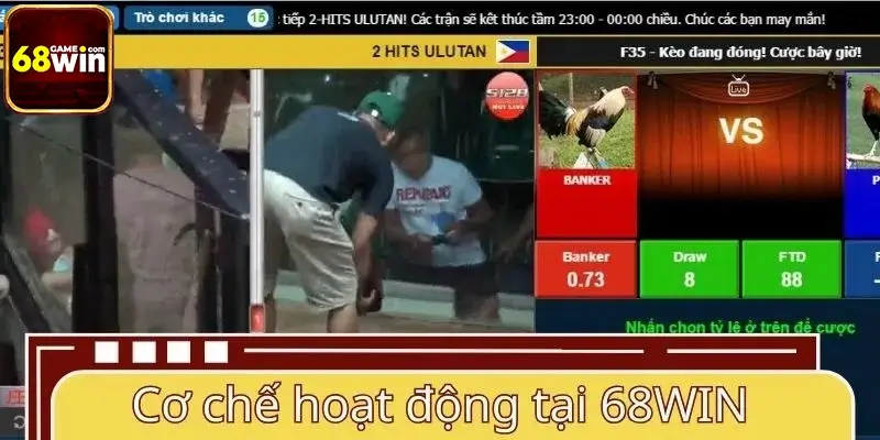 Cơ chế hoạt động và hình thức theo dõi tại 68WIN