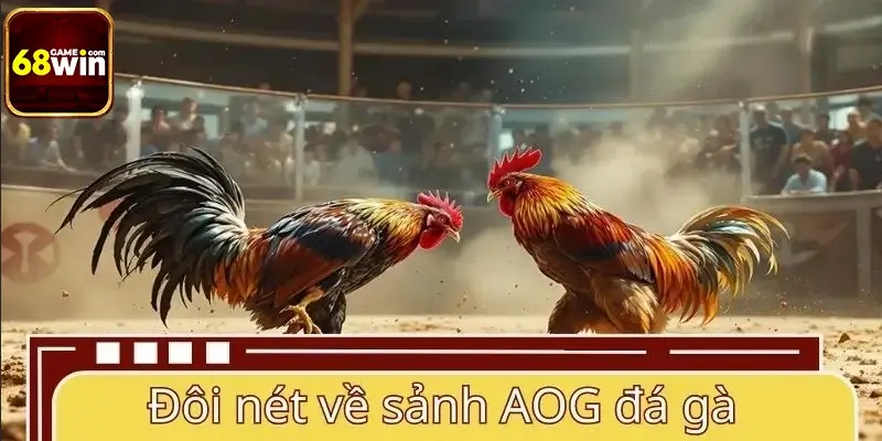 Đôi nét về sảnh AOG đá gà trực tuyến