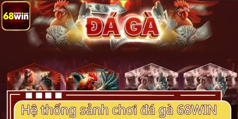 Hệ thống sảnh chơi đá gà 68WIN