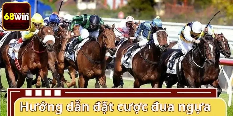 Hướng dẫn cách đặt cược trò đua ngựa Hướng dẫn cách đặt cược trò đua ngựa