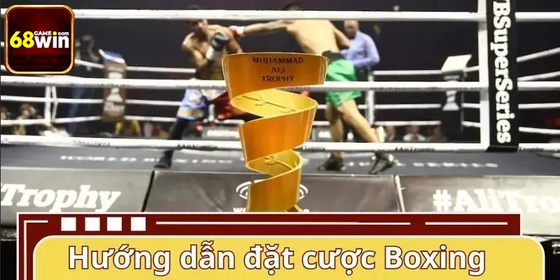 Hướng dẫn tham gia đặt cược Boxing