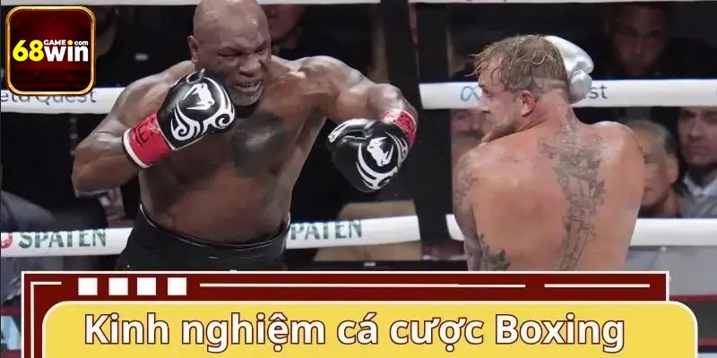 Kinh nghiệm chơi cá cược Boxing đỉnh cao