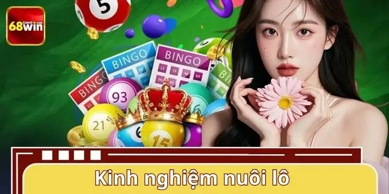 Kinh Nghiệm Nuôi Lô 68WIN - Hiệu Quả Tăng Tỷ Lệ Trúng Lớn