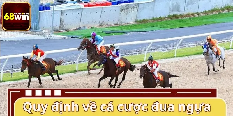 Quy định về cá cược đua ngựa hiện nay Quy định về cá cược đua ngựa hiện nay