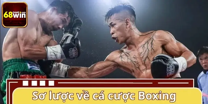 Sơ lược về bộ môn cá cược Boxing