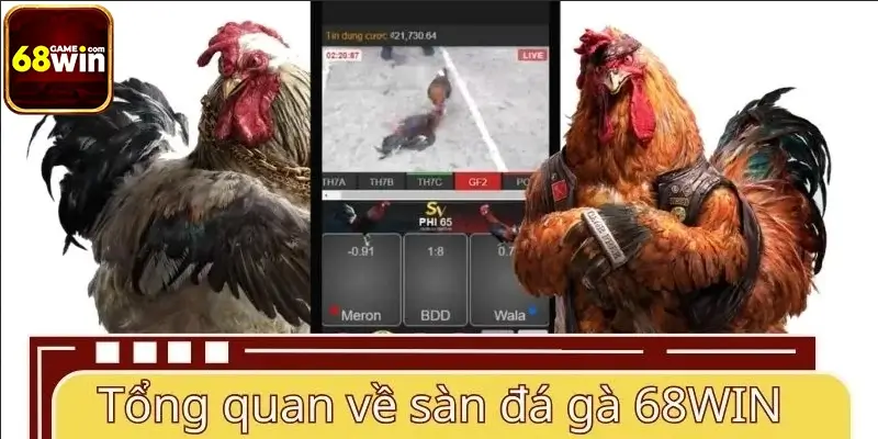 Tổng quan về sàn đá gà 68WIN