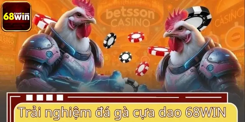 Trải nghiệm đá gà cựa dao 68WIN có gì nổi bật? Trải nghiệm đá gà cựa dao 68WIN có gì nổi bật?