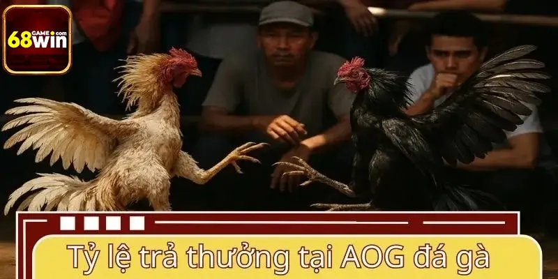 Tỷ lệ trả thưởng tại sân chơi AOG đá gà